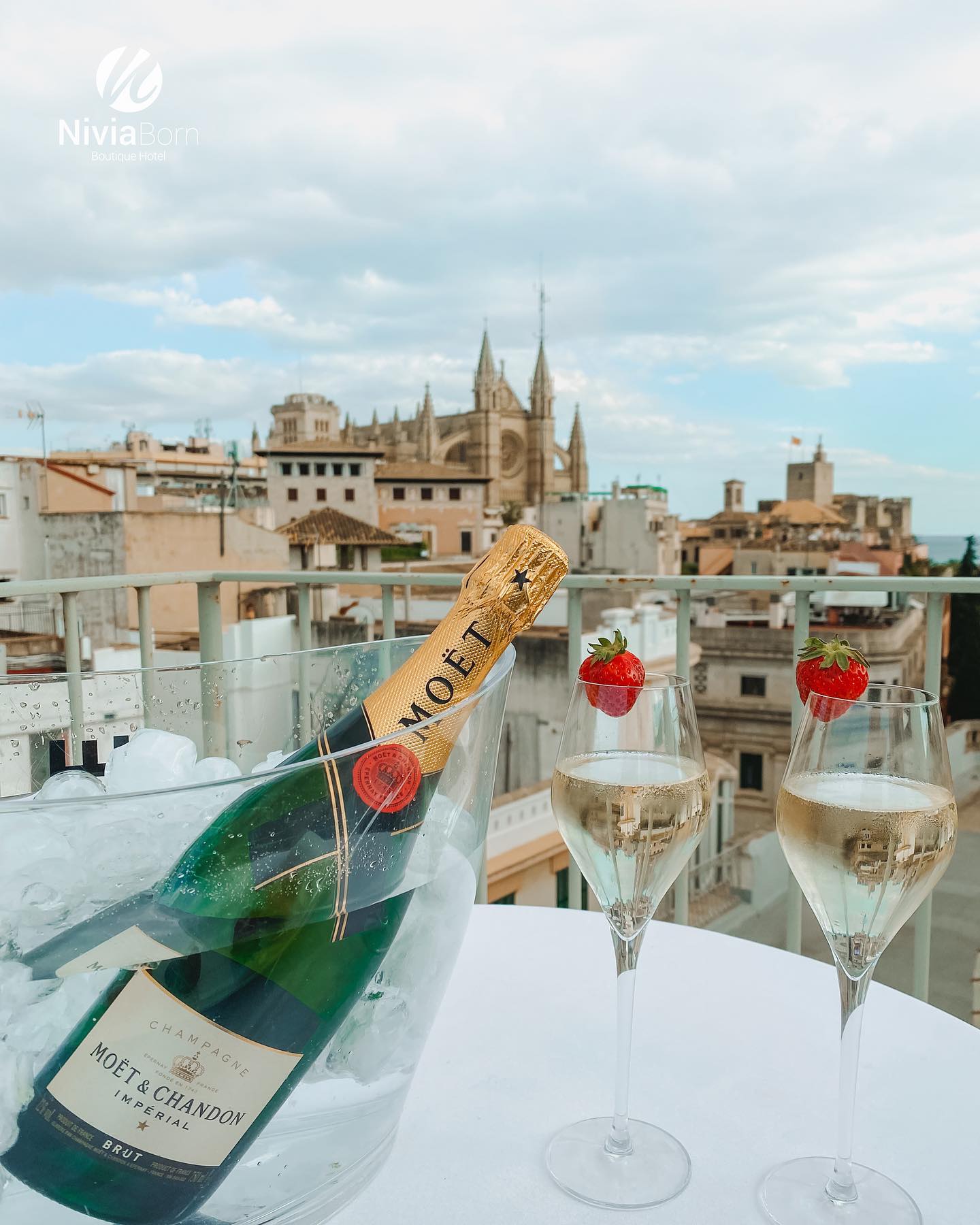 Cava con vistas a la Catedral La Seu