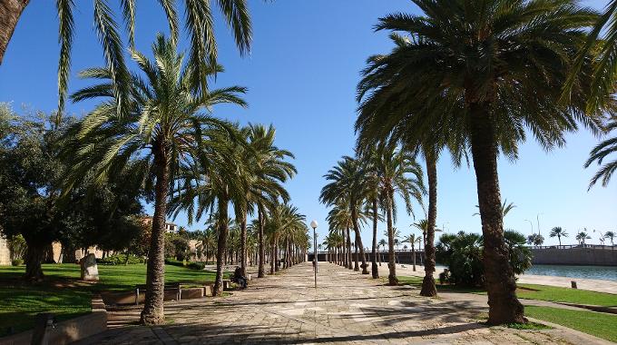 Descubre Palma